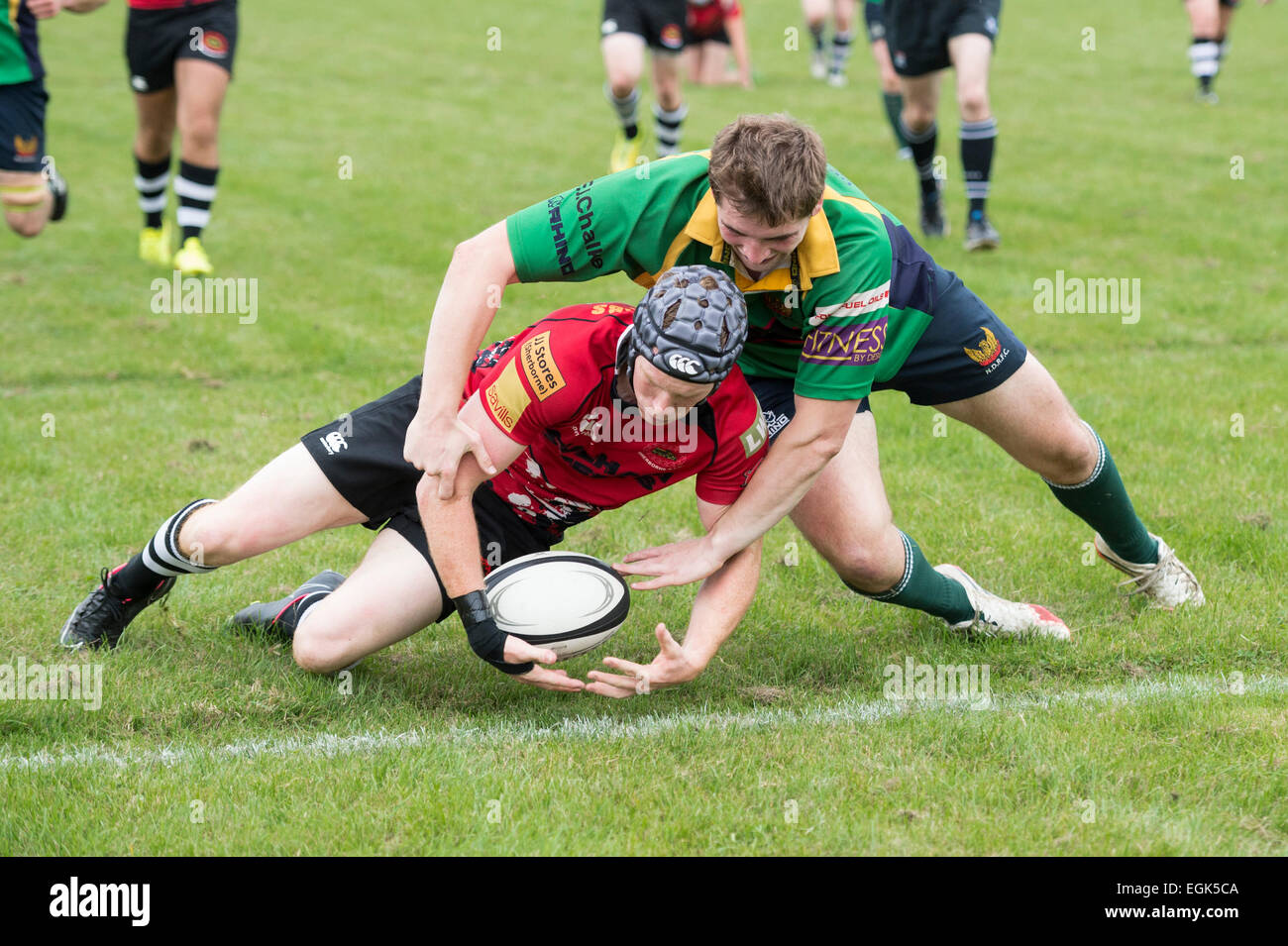 Reproductor de Sherborne (scrum cap) impide North Dorset RFC jugador trate de puntuación en la línea de gol. Foto de stock