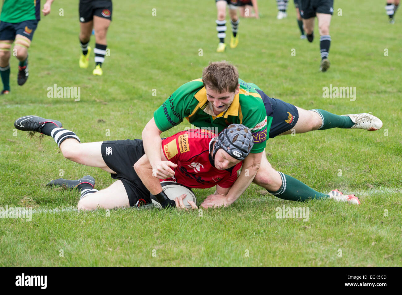 Reproductor de Sherborne (scrum cap) impide North Dorset RFC jugador trate de puntuación en la línea de gol. Foto de stock