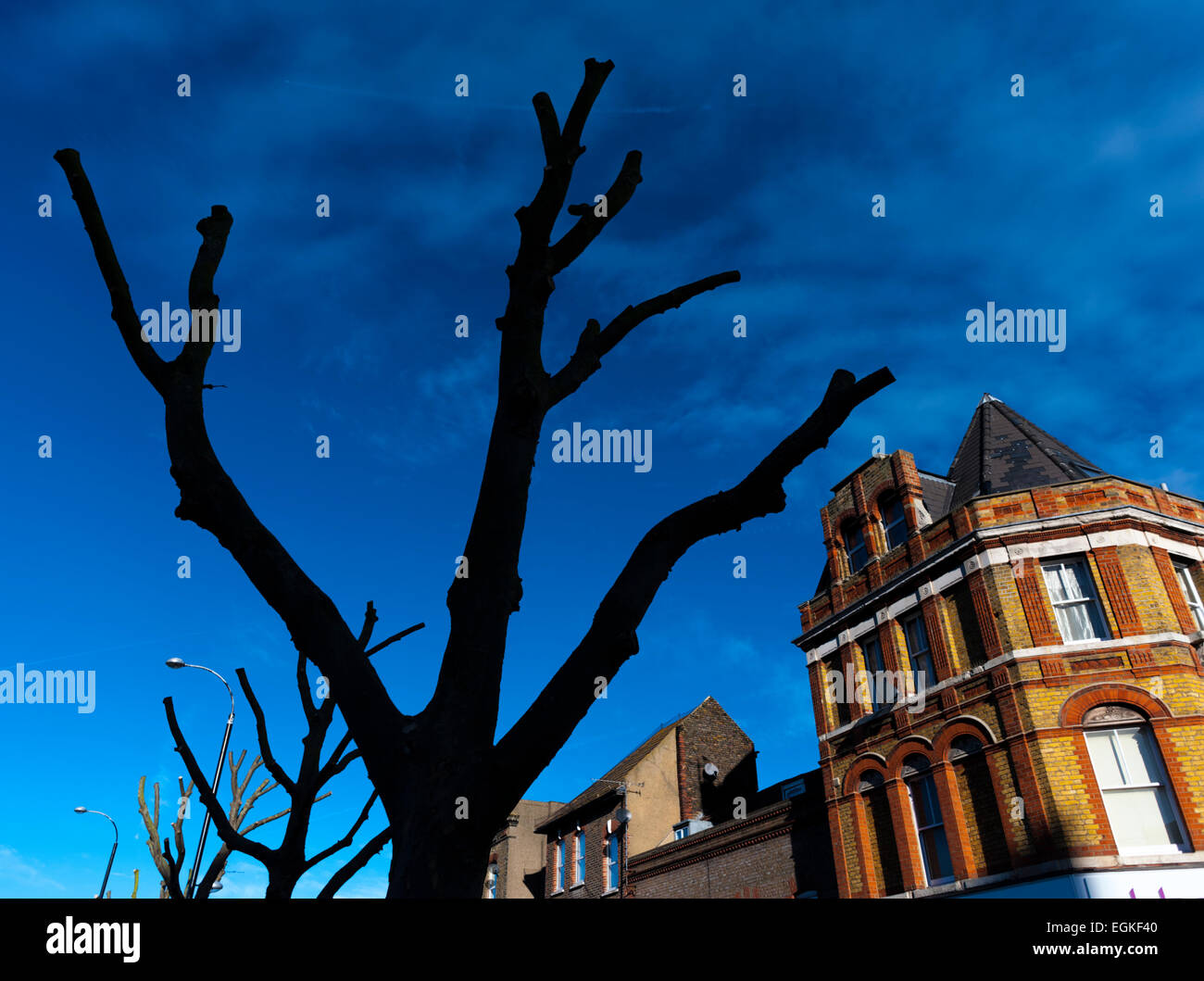Árboles recortada en Gravesend st Parrock Kent con edificios detrás Foto de stock