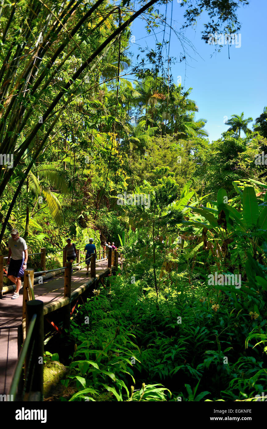 Jardín botánico tropical de Hawaii en Bahía Onomea, Big Island, Hawaii, EE.UU. Foto de stock