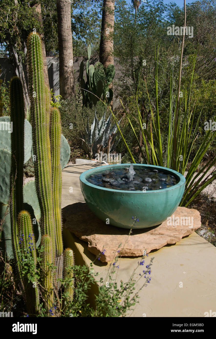 Tazón de agua fuente con cactus Foto de stock