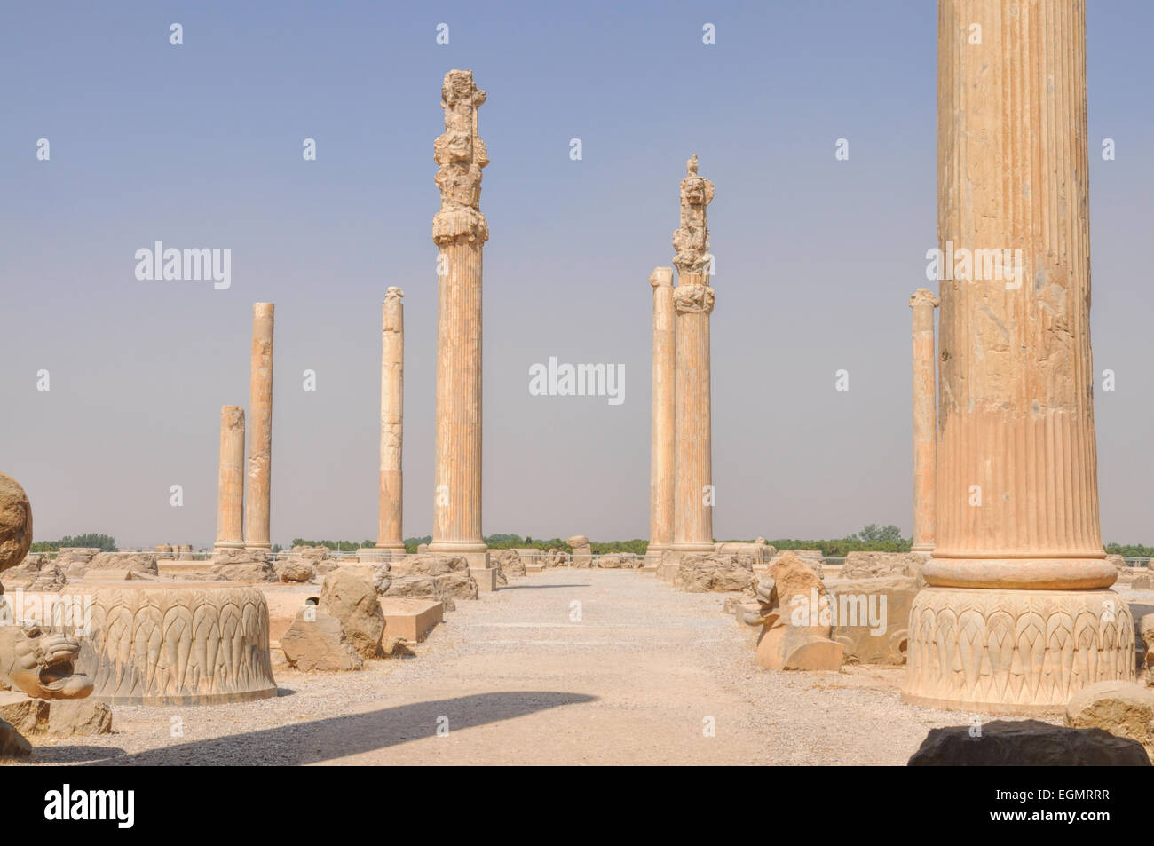 Pilares en la antigua capital persa Persépolis, Irán actual Foto de stock