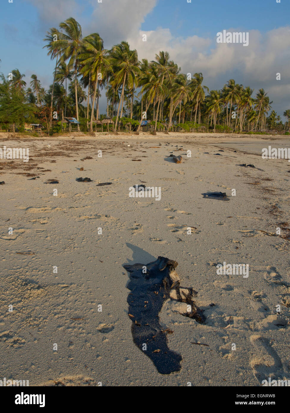 Tar en la playa de la contaminación por el vertido de