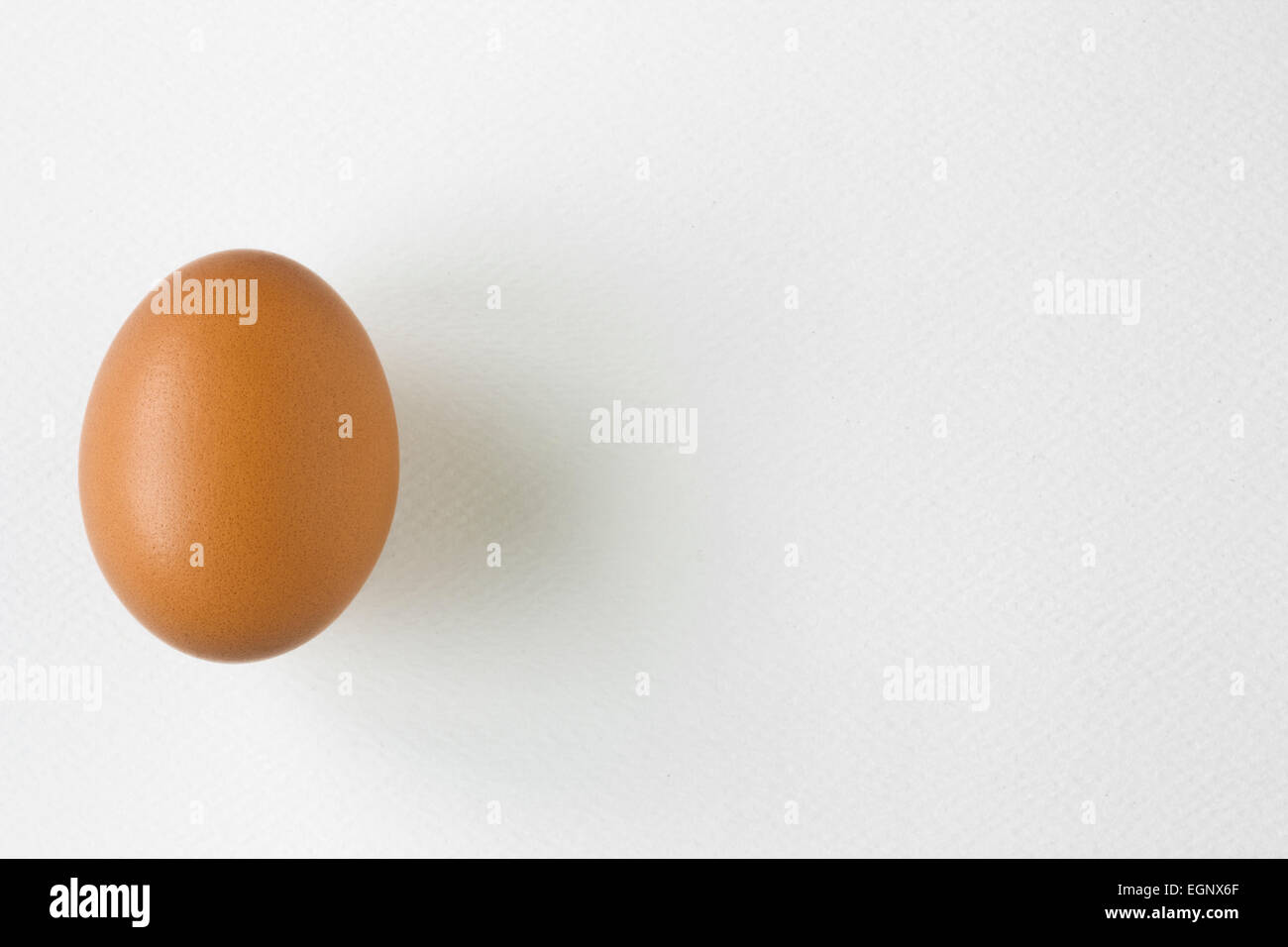 Top Shot huevo en papel de textura blanca Foto de stock