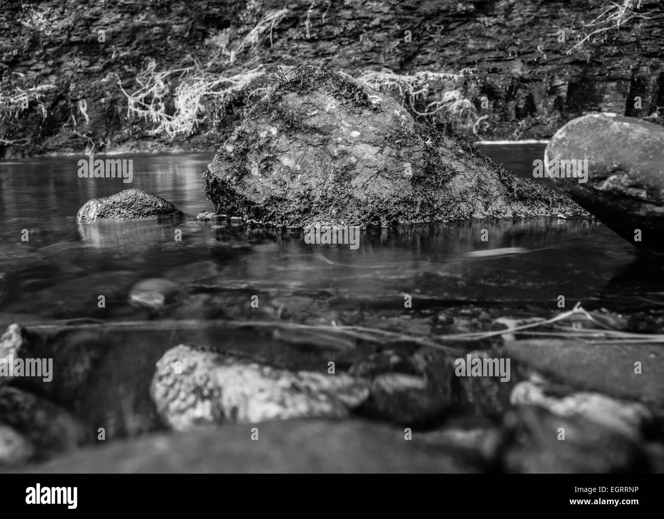 Arroyo que corría por el valle de Yorkshire Foto de stock