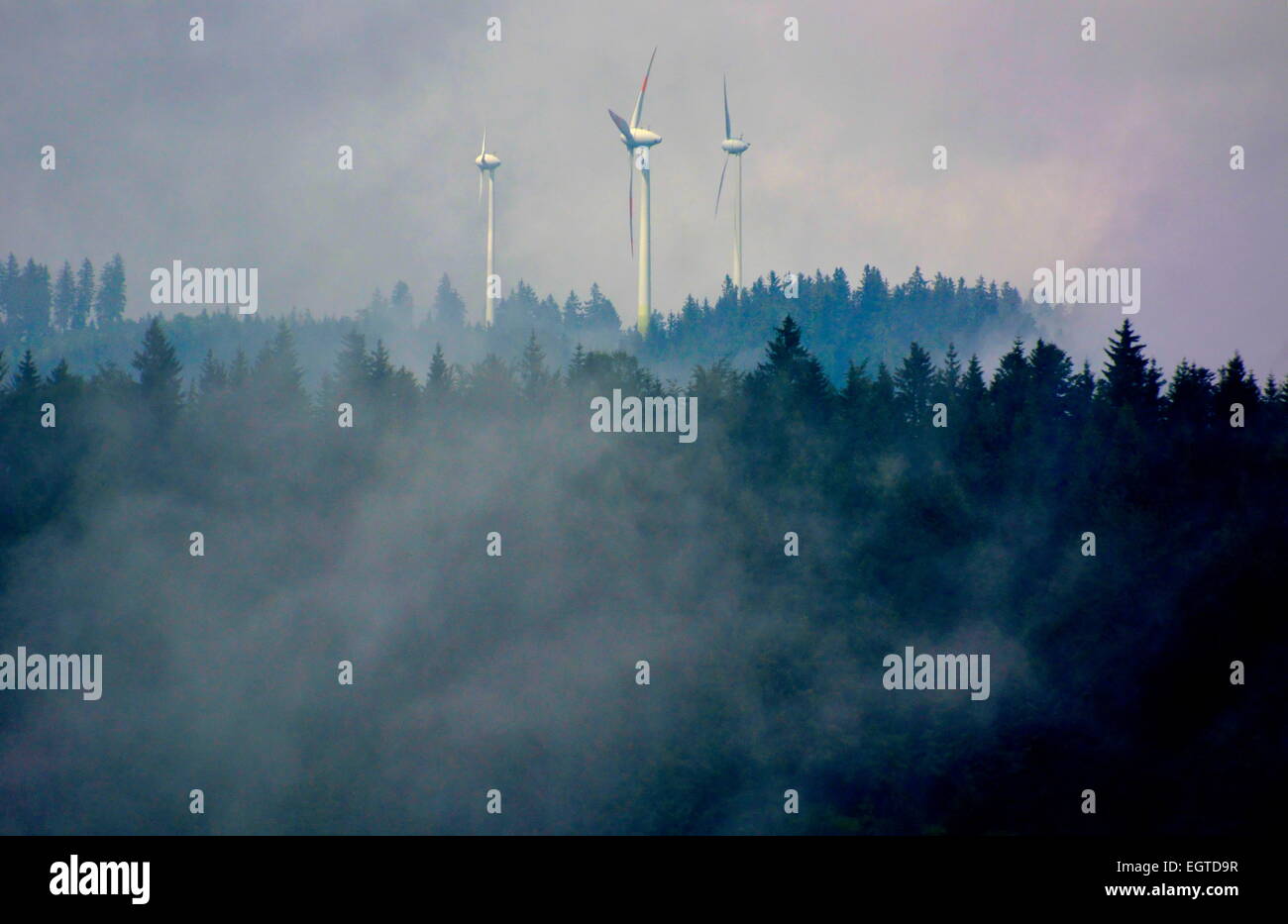 Selva Negra, Baden-Wurttemberg, Selva Negra, Steinbach, niebla matutina, turbinas eólicas en la niebla, Schwarzwald, Baden-Württemberg, Foto de stock
