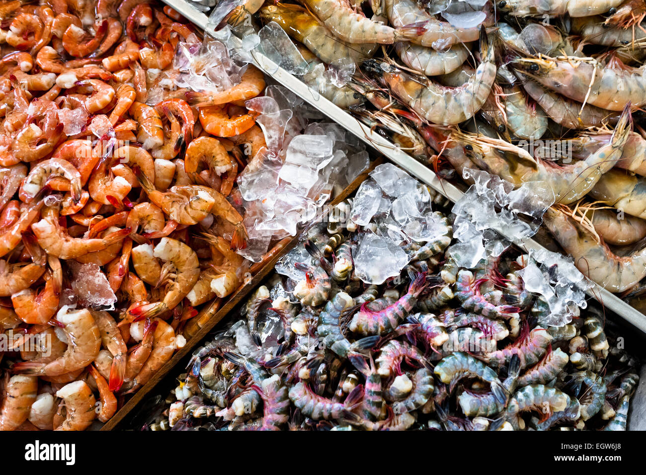 Amplia variedad de camarones (crudo, cocido,…) para la venta es visto en mercado de mariscos el mercado de mariscos y pescados en la ciudad de Panamá, Fotografía de stock - Alamy