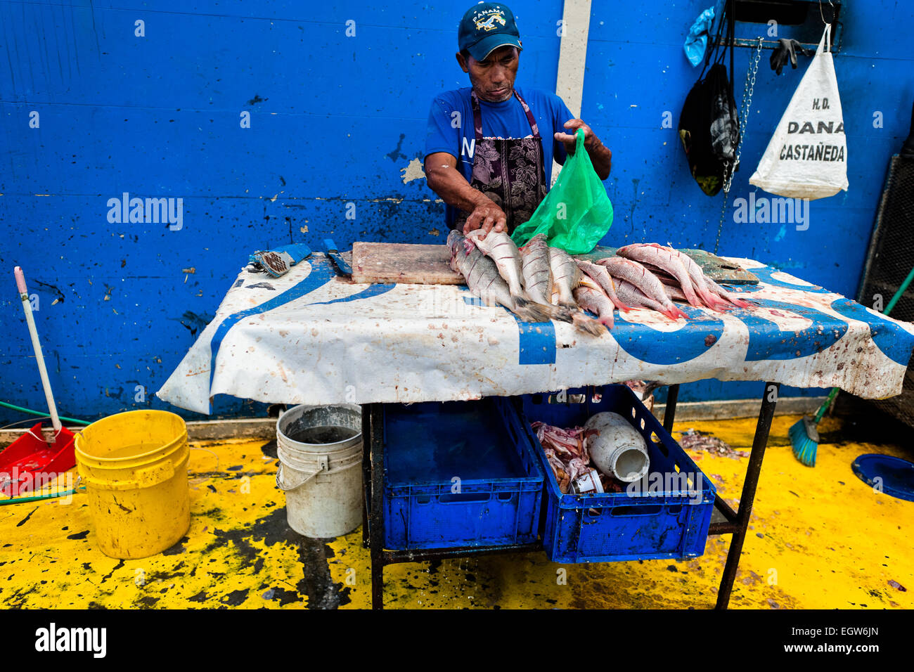 Un pescador panameño limpia el pescado al Mercado de Mariscos el mercado de mariscos y pescados en la Ciudad de Panamá, Panamá. Foto de stock