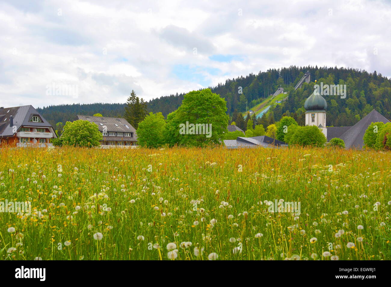 Selva Negra, Baden-Wurttemberg, Selva Negra, Hinterzarten, pradera con iglesia y saltar, Foto de stock