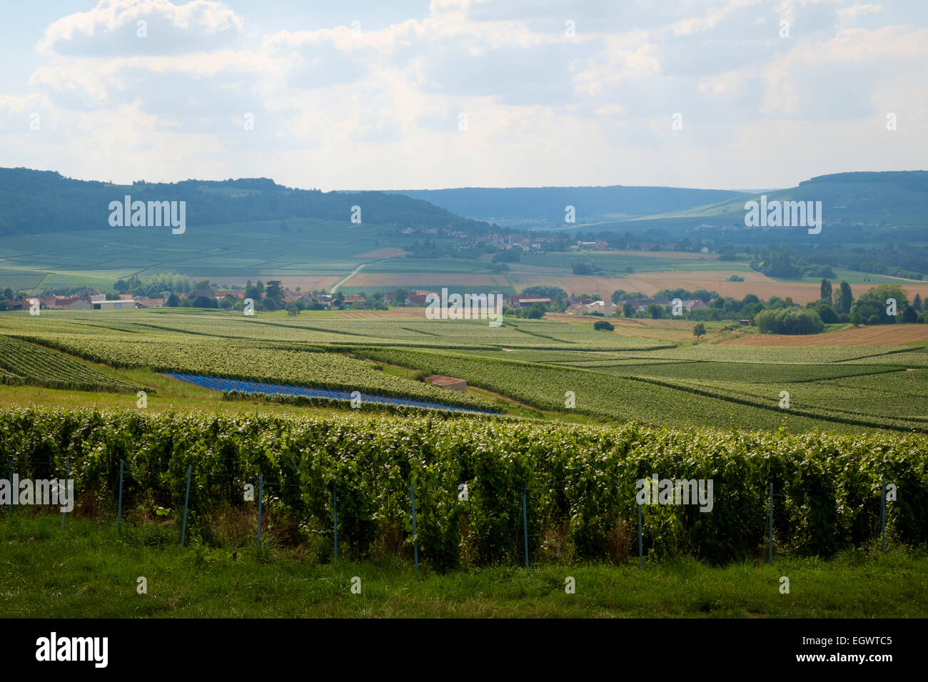 Vista del paisaje de viñedos y pueblos en la región de Champagne, Francia, Europa Foto de stock
