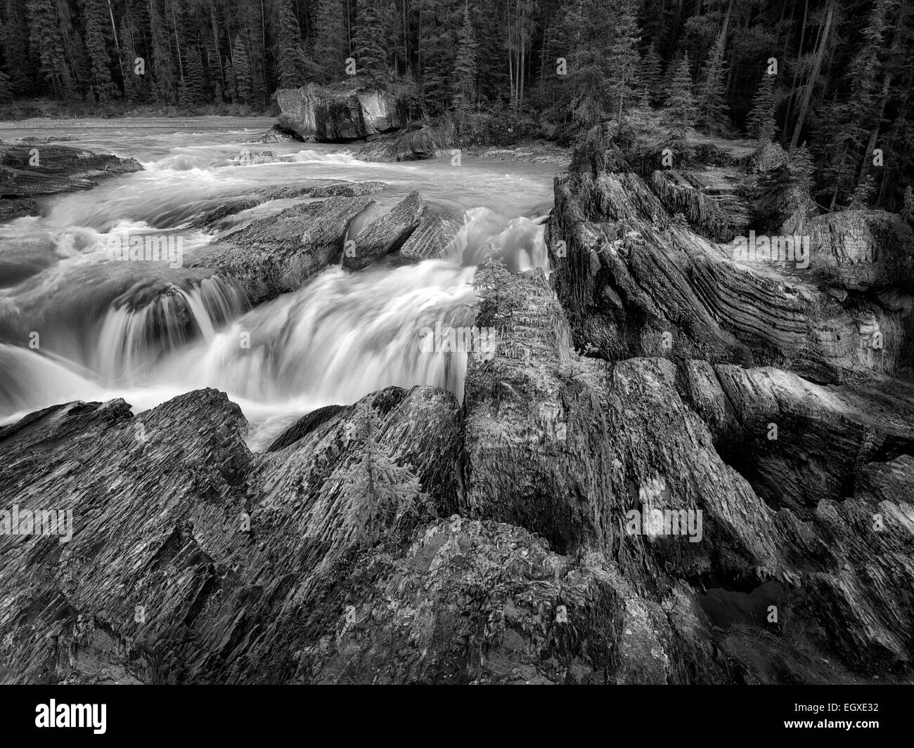 Río Kicking Horse y Puente Natural cae en British Columbia's Canadian Rockies y el Parque Nacional Yoho. Foto de stock