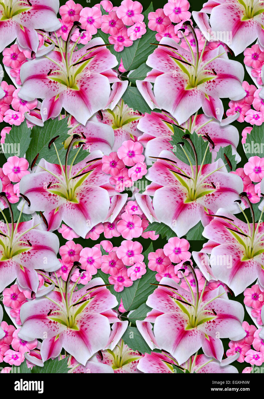 Fondo de azucenas y flores de color rosa sobre fondo negro Fotografía de  stock - Alamy