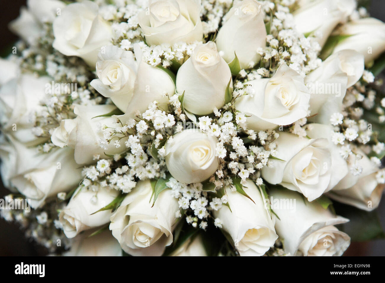 Bouquet de rosas blancas. Vista desde arriba. Ramo de novia Fotografía de  stock - Alamy