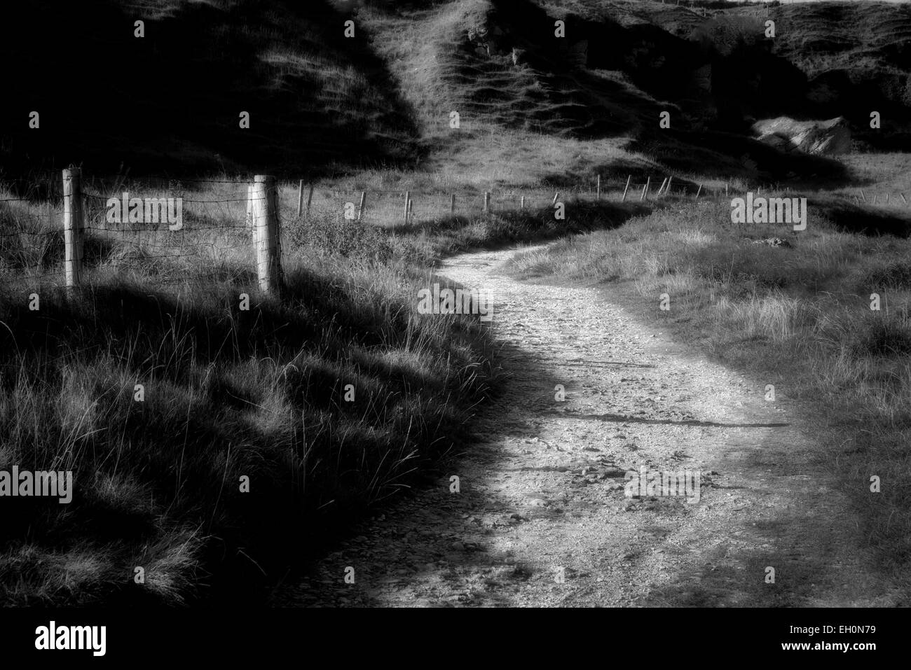 Carretera en Ballintoy Harbour. Irlanda del Norte Foto de stock