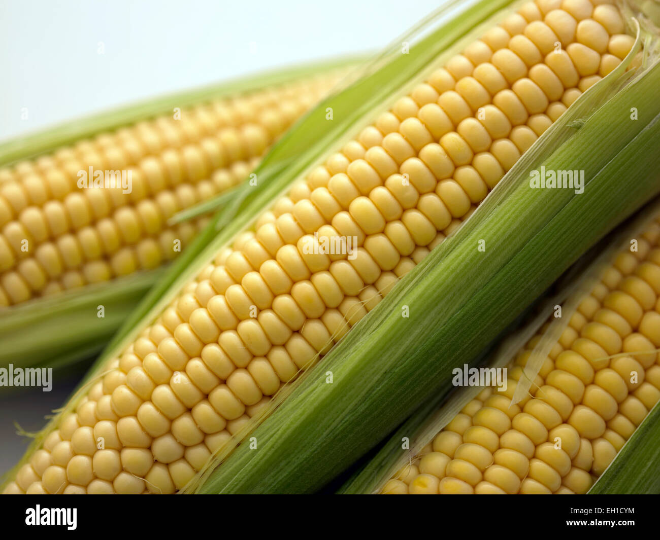 maíz dulce Foto de stock