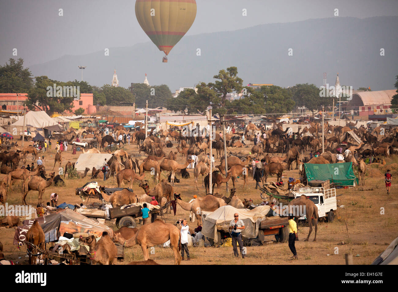 Camello y feria de ganado o feria de Pushkar Pushkar Mela, Pushkar, Rajastán, India, Asia Foto de stock