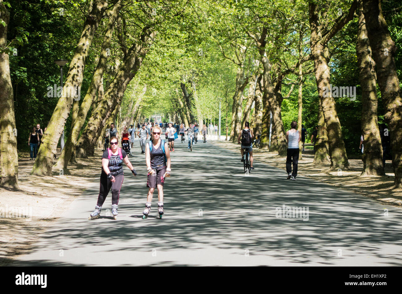 Personas que ejercen en un soleado día de Vondelpark Foto de stock