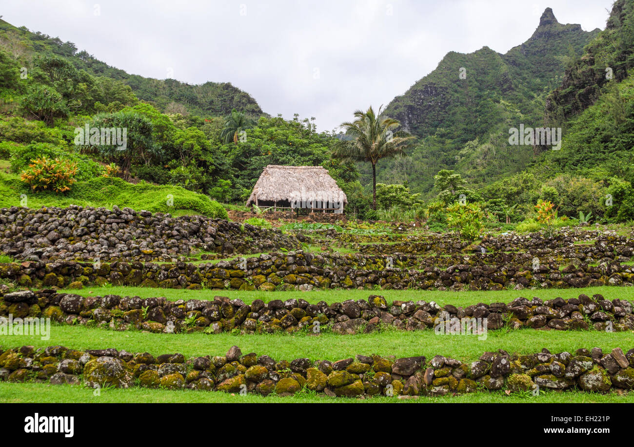 Limahuli jardín jardín botánico tropical nacional en Kauai Foto de stock