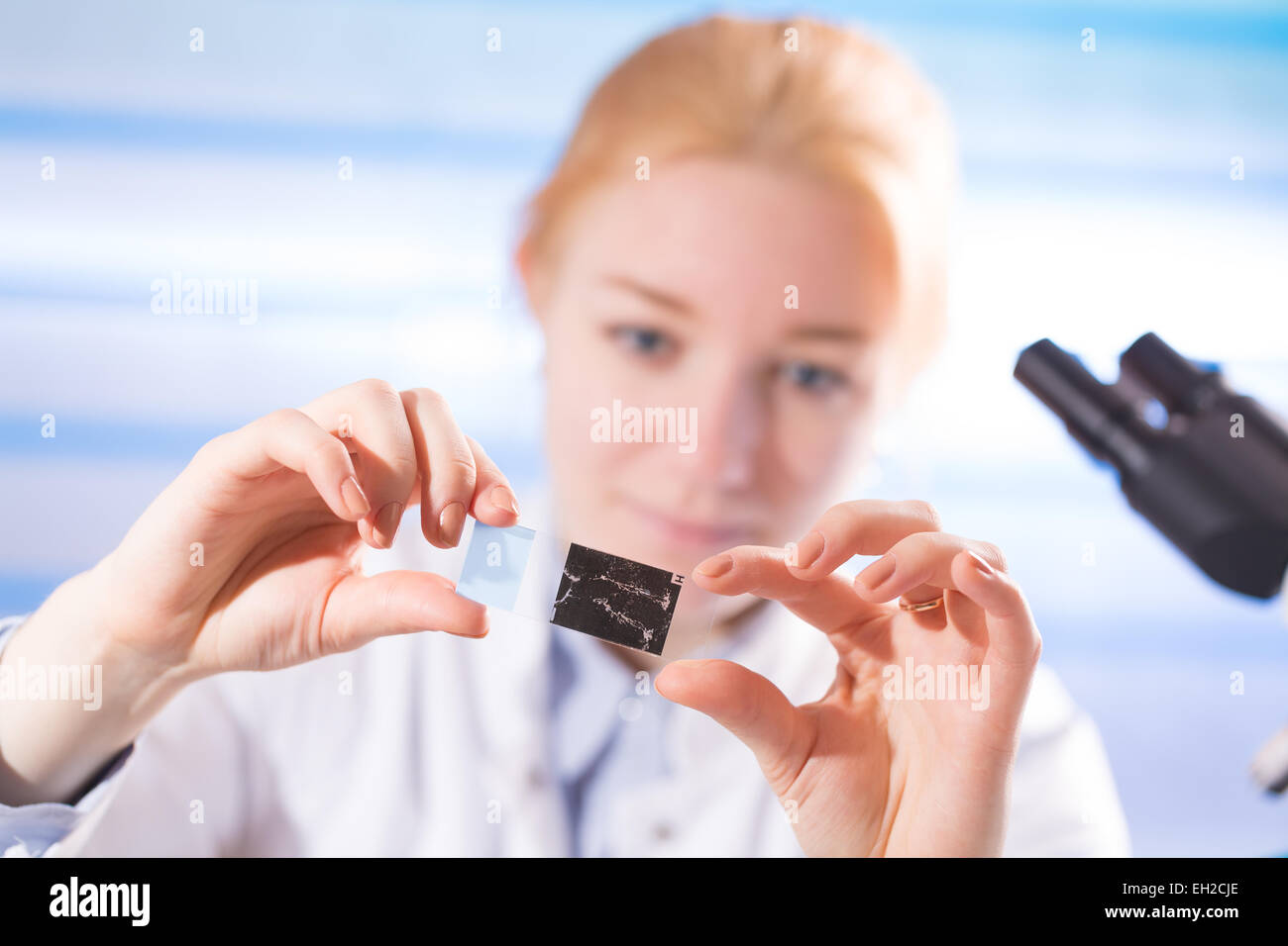 Manos de mujer en un portaobjetos de microscopio de laboratorio en la mano