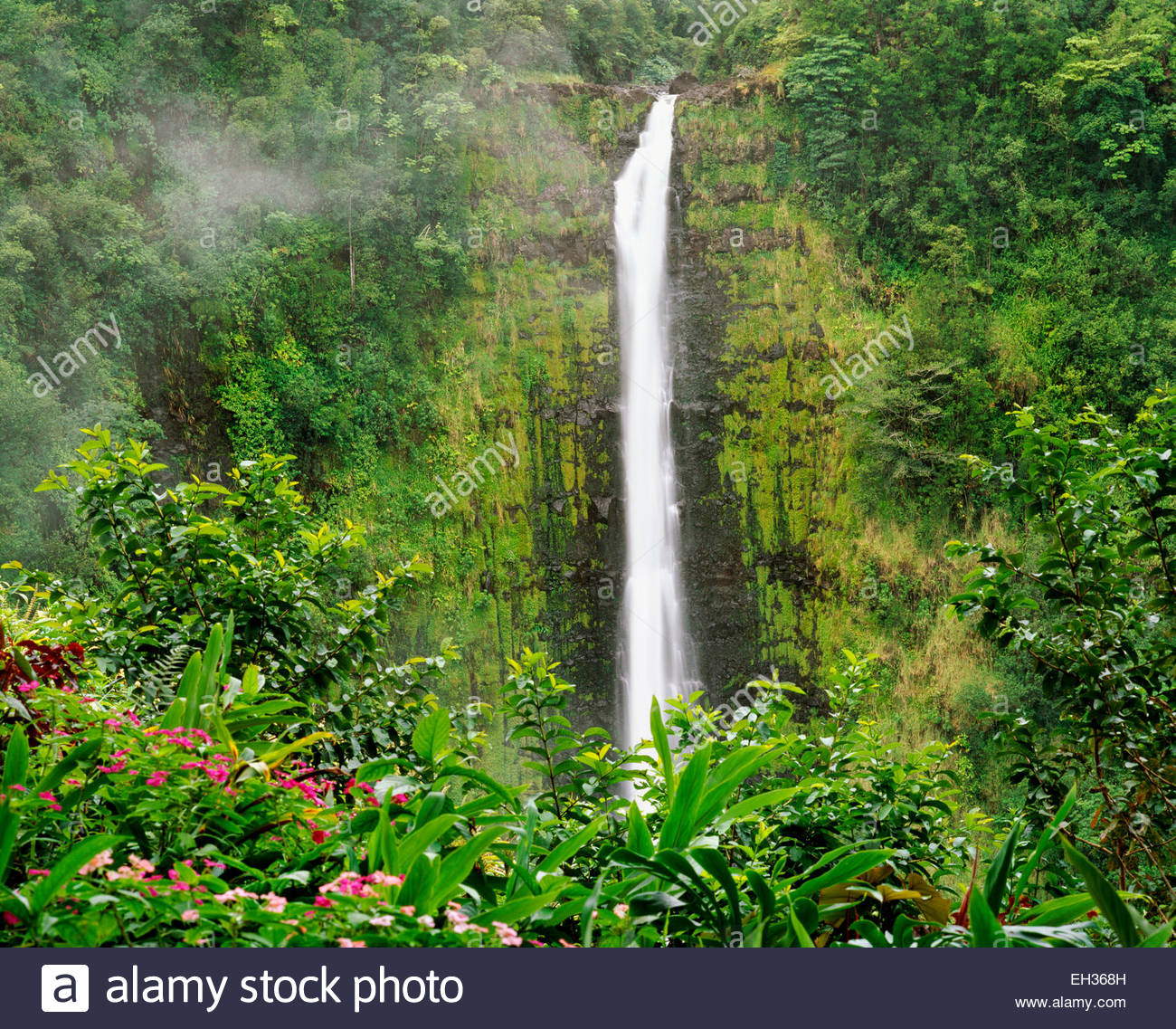 Akaka Falls. 'Akaka' se convierte en un 'split' o 'crack'. La Isla Grande de Hawai. Foto de stock