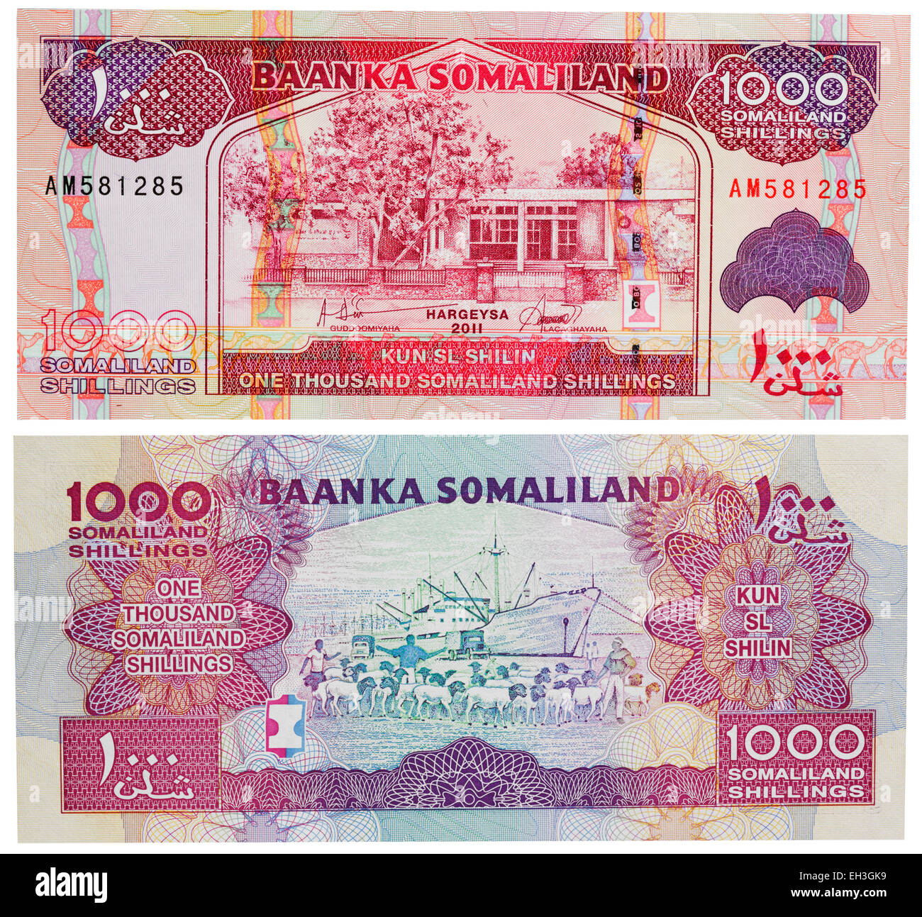 Billetes de 1.000 chelines, Somalilandia, 2011 Foto de stock