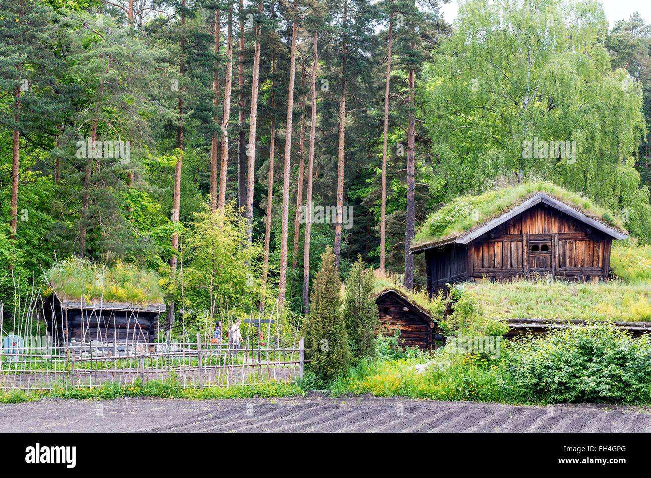 Noruega, Oslo, Bygd°y península, Museo Folclórico Noruego (Norsk Folkemuseum) fue fundada en 1894 con 160 casas tradicionales en el país, los graneros del siglo XVIII con techos verdes Foto de stock