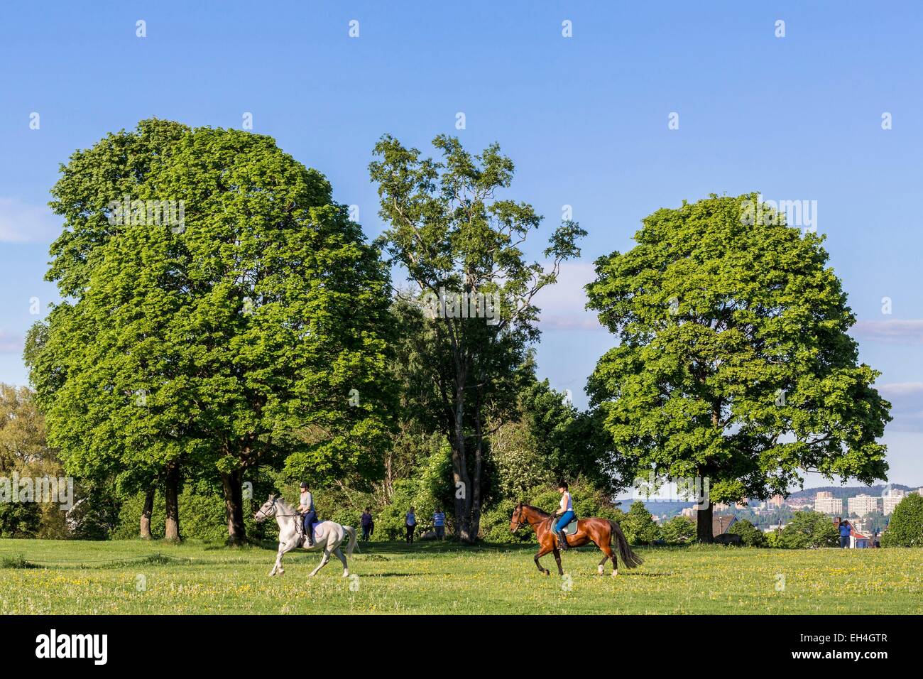Noruega, Oslo, la Ekeberg Ekebergparken Park (63 hectáreas), paseos a caballo Foto de stock