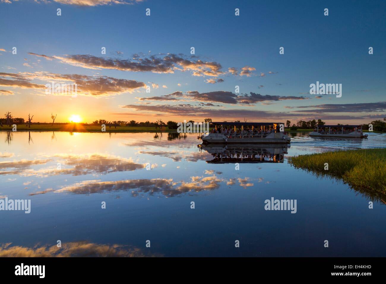Australia, el Territorio del Norte, el Parque Nacional Kakadu, catalogada como Patrimonio de la Humanidad por la UNESCO, crucero en el agua amarilla Billabong Foto de stock