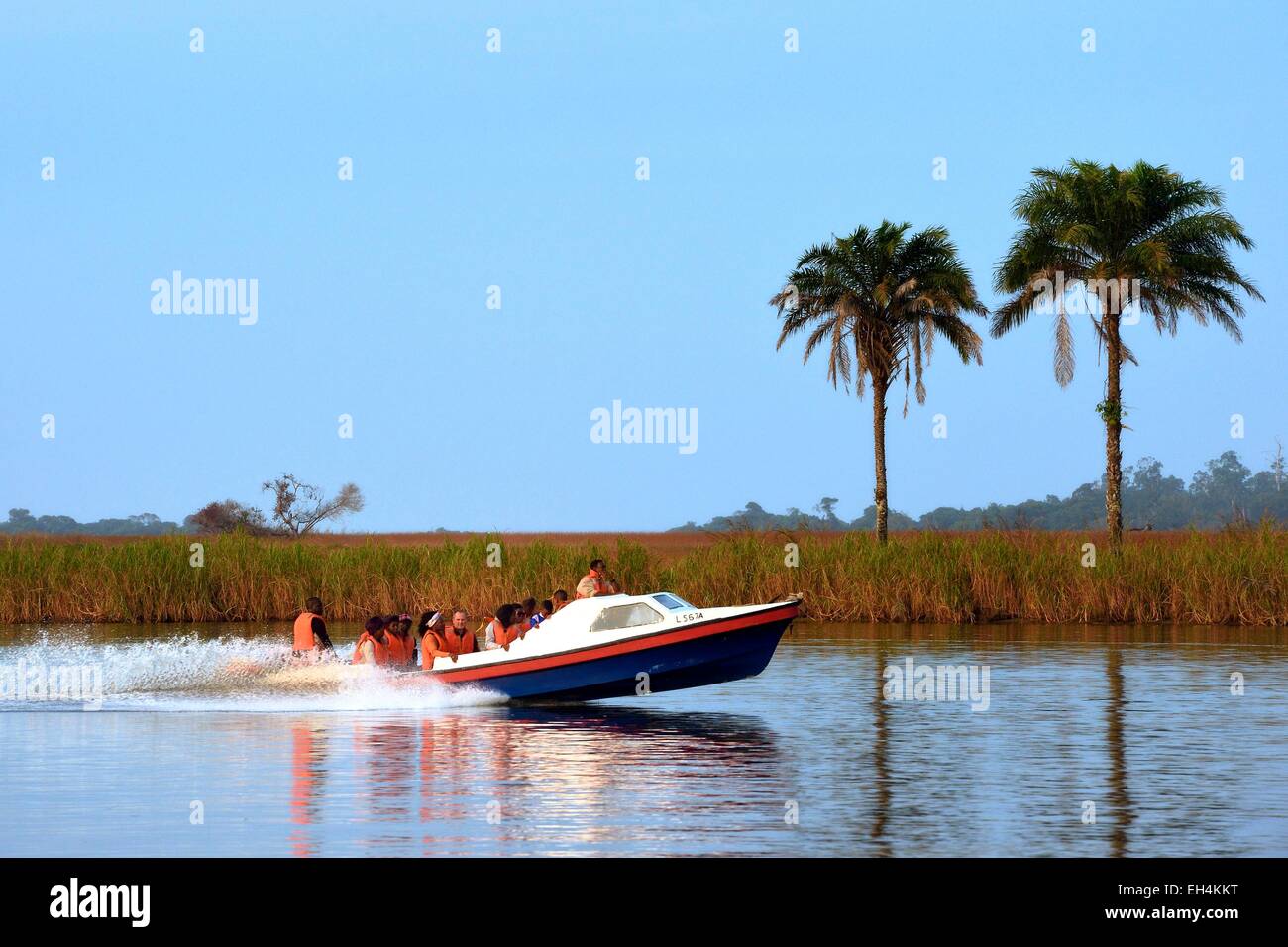 Gabón, Provincia Ogooue-Maritime, barco de motor en la Fernan Vaz (Nkomi laguna) Foto de stock