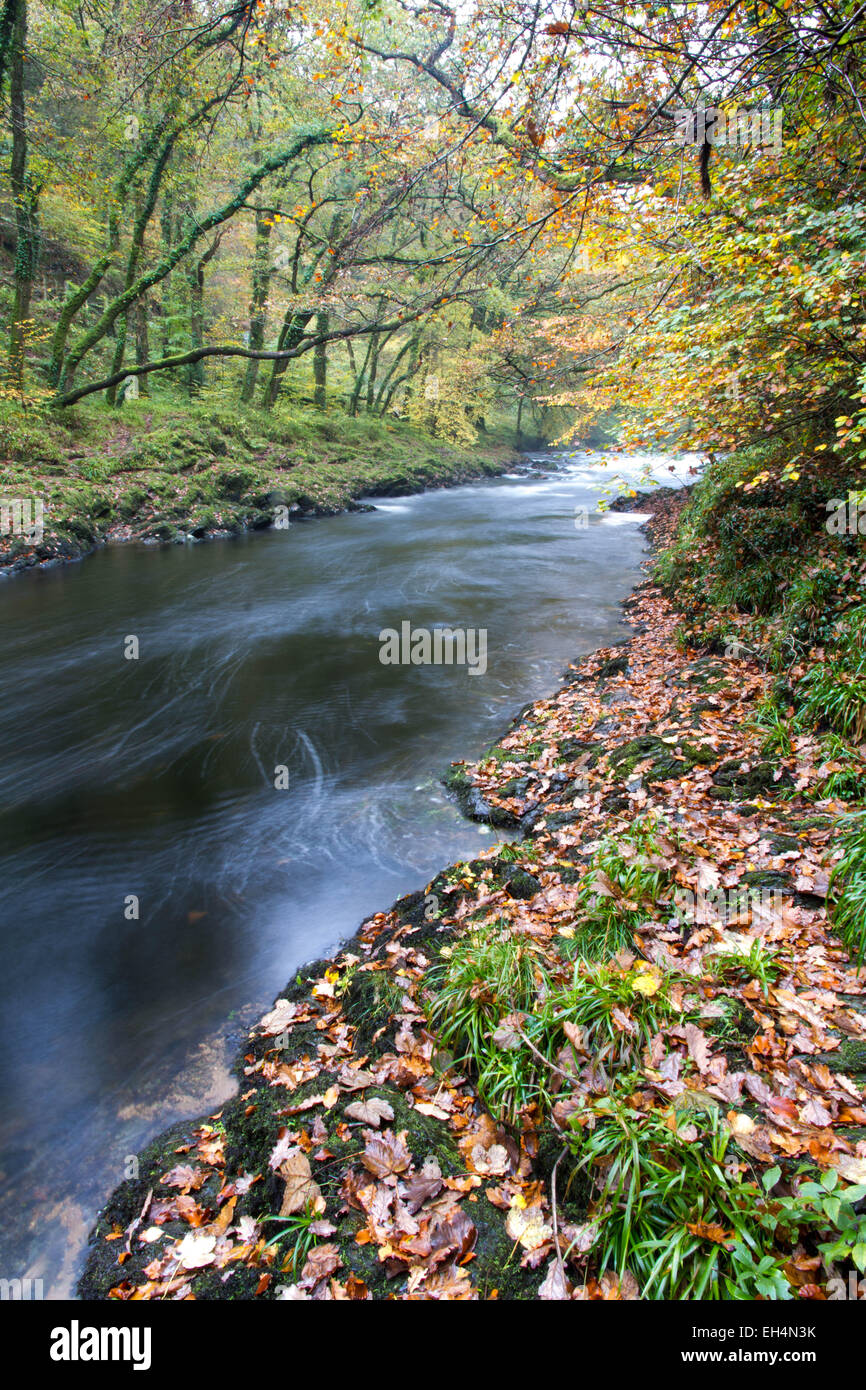 El río Dart en Holne Bridge. Parque nacional de Dartmoor, Devon, Inglaterra, Reino Unido. Puente de granito, otoño, otoño, largas expos Foto de stock