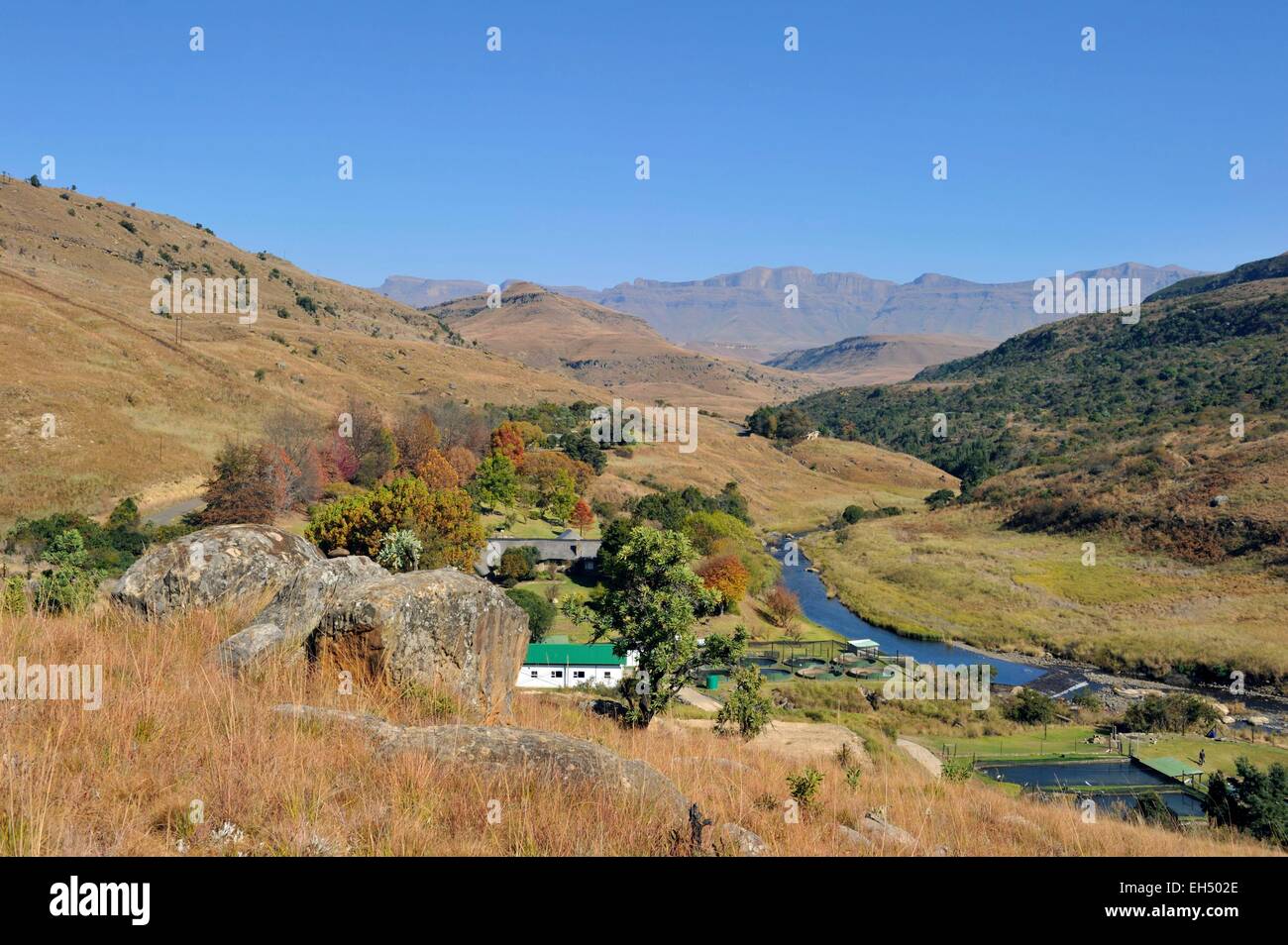 Sudáfrica, Kwazulu Natal, montañas Drakensberg uKhahlamba, Parque, catalogado como Patrimonio Mundial por la UNESCO, Giant's Castle Valley Foto de stock