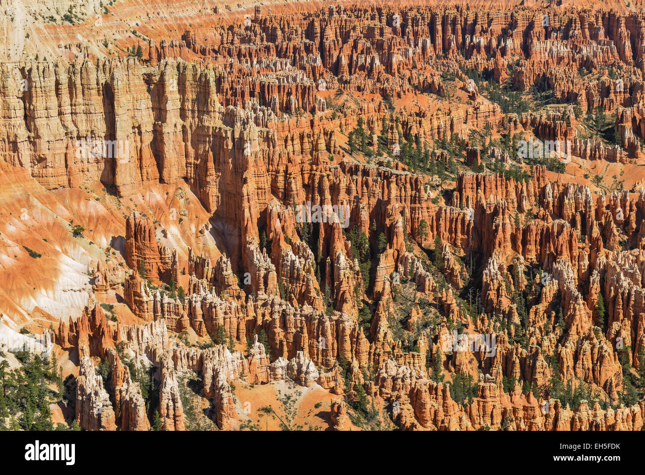 Hoodoos en el Anfiteatro Bryce, Bryce Canyon National Park, Utah Foto de stock