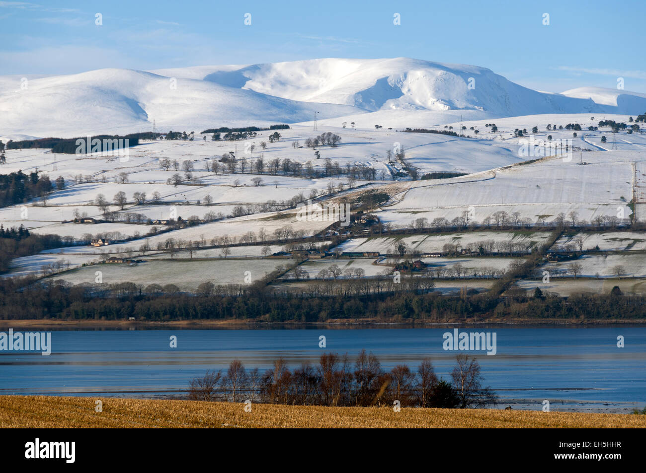 Ben Wyvis (1046m) en invierno, durante el Cromarty Firth, Inverness-shire, Scotland, Reino Unido Foto de stock