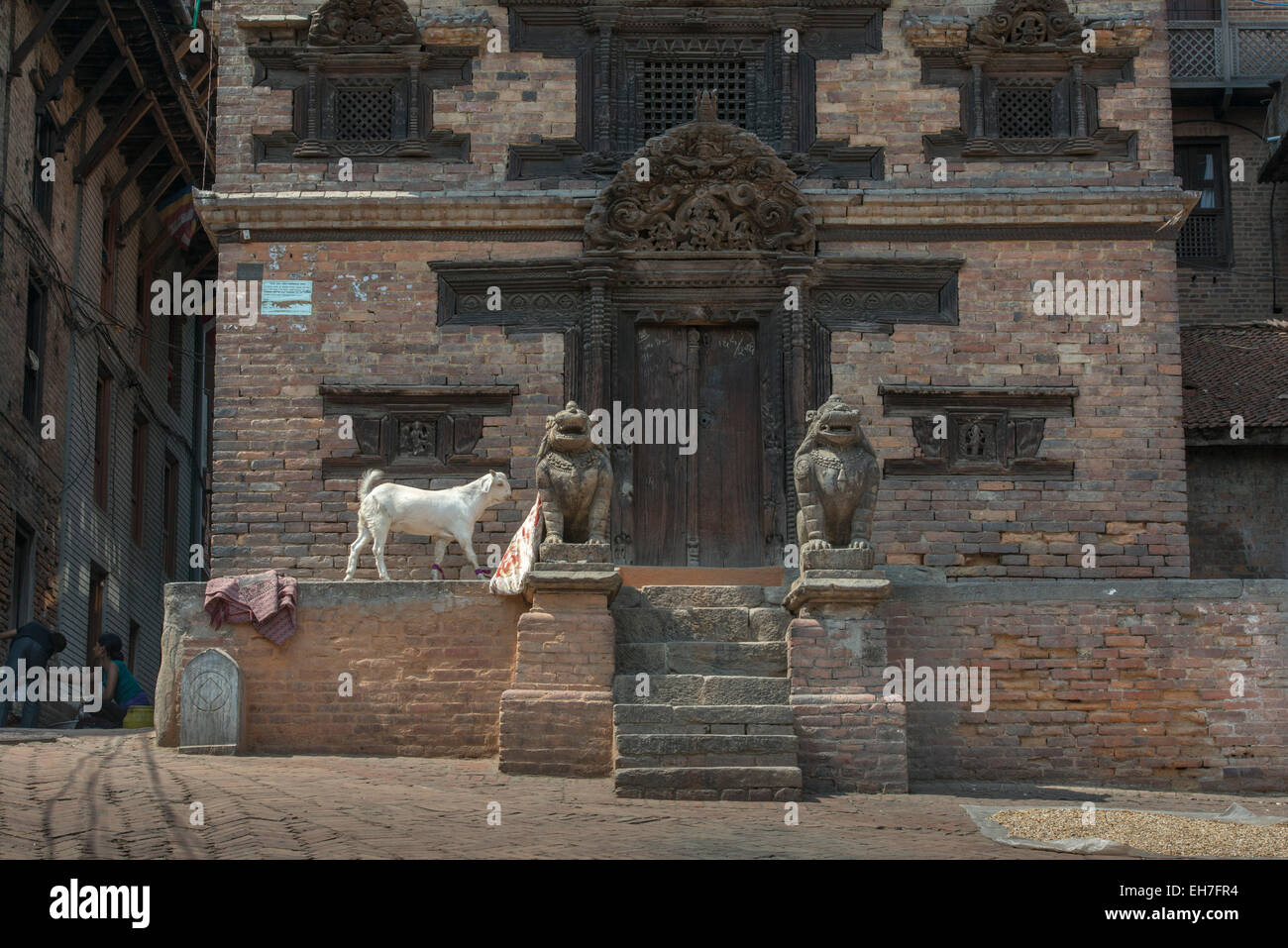 Cabra caminando por el templo, Bhaktapur Foto de stock