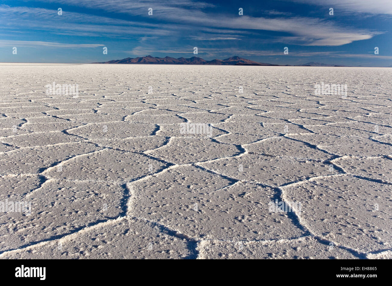 Los cristales de sal blanca translúcida en el desierto de sal más grande del mundo, el Salar de Uyuni, Bolivia, América del Sur Foto de stock