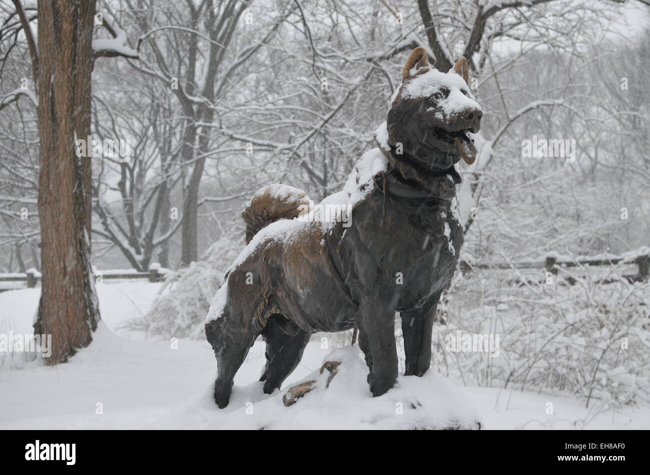 Nueva York, Estados Unidos. 5 Mar, 2015. La estatua de bronce del perro  Balto se exhibe en cubiertas de nieve en el Central Park de Nueva York,  EEUU, 5 de marzo de