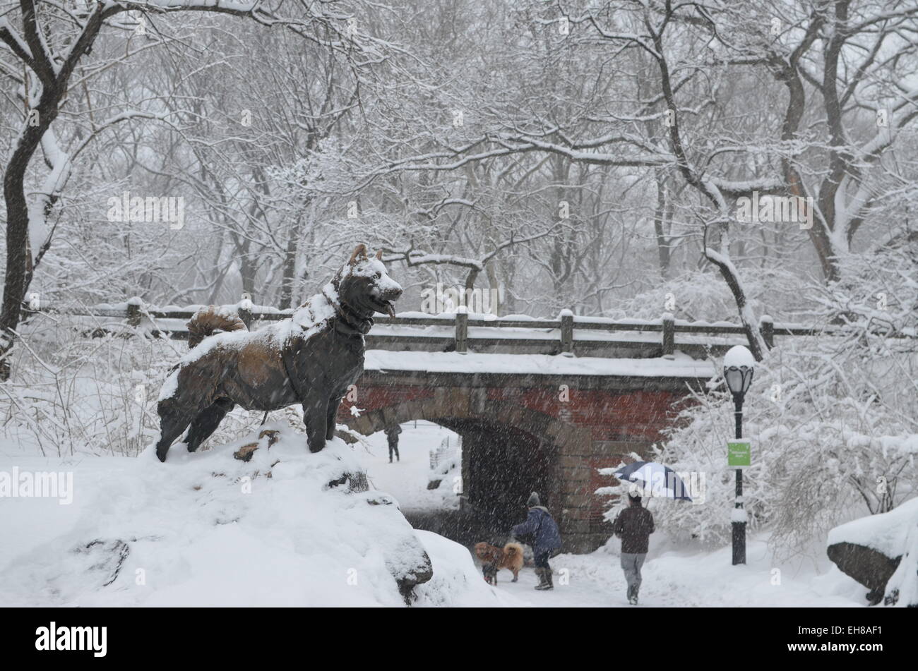 Nueva York, Estados Unidos. 5 Mar, 2015. La estatua de bronce del perro  Balto se exhibe en cubiertas de nieve en el Central Park de Nueva York,  EEUU, 5 de marzo de