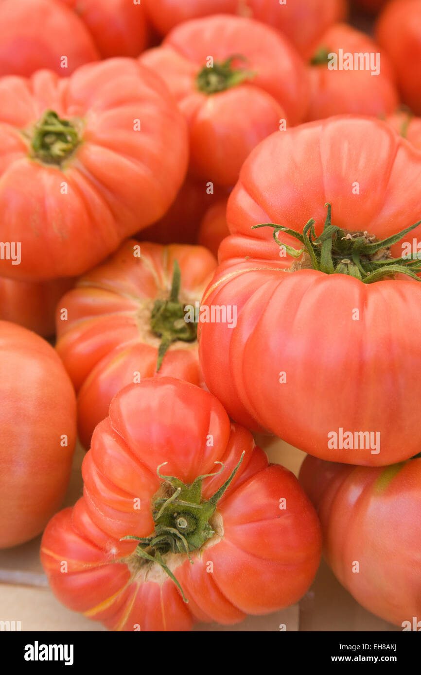 Montón de herencia Brandywine tomates para la venta en un mercado de granjeros en Issaquah, Washington, EE.UU. Foto de stock