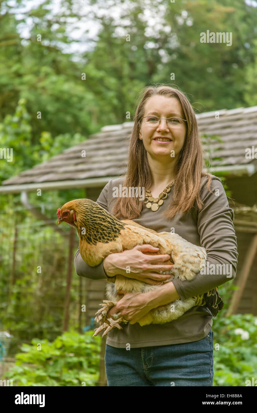 Mujer sosteniendo un Buff Brahma gallina, personalizadas con un gallinero  en el fondo, en Issaquah, Washington, EE.UU Fotografía de stock - Alamy