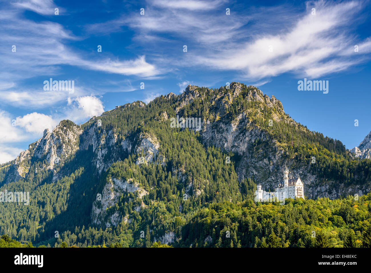 El castillo de Neuschwanstein en los Alpes bávaros de Alemania. Foto de stock