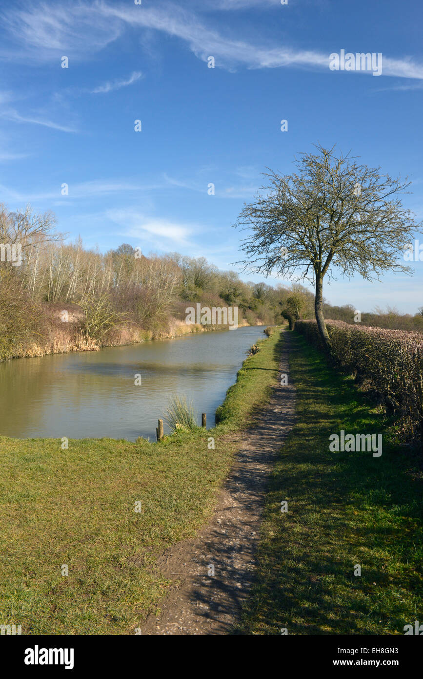 El restaurado Berks y Wilts canal cerca de Wootton Bassett en Wiltshire Foto de stock