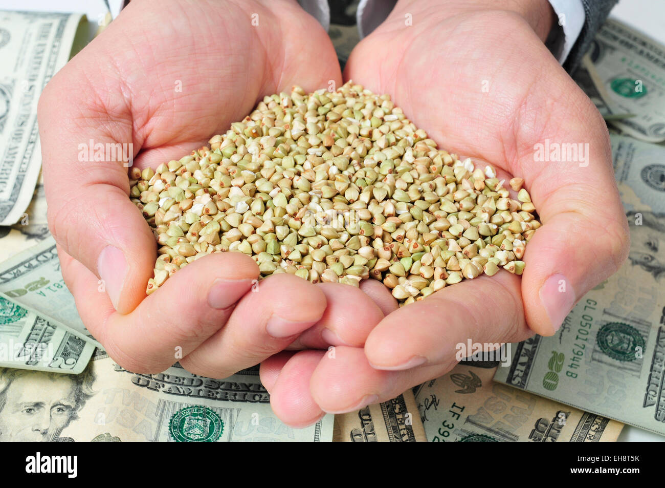 Primer plano de un montón de trigo sarraceno semillas en las manos de un hombre sobre un fondo lleno de billetes de dólar, representando el agronegocio Foto de stock