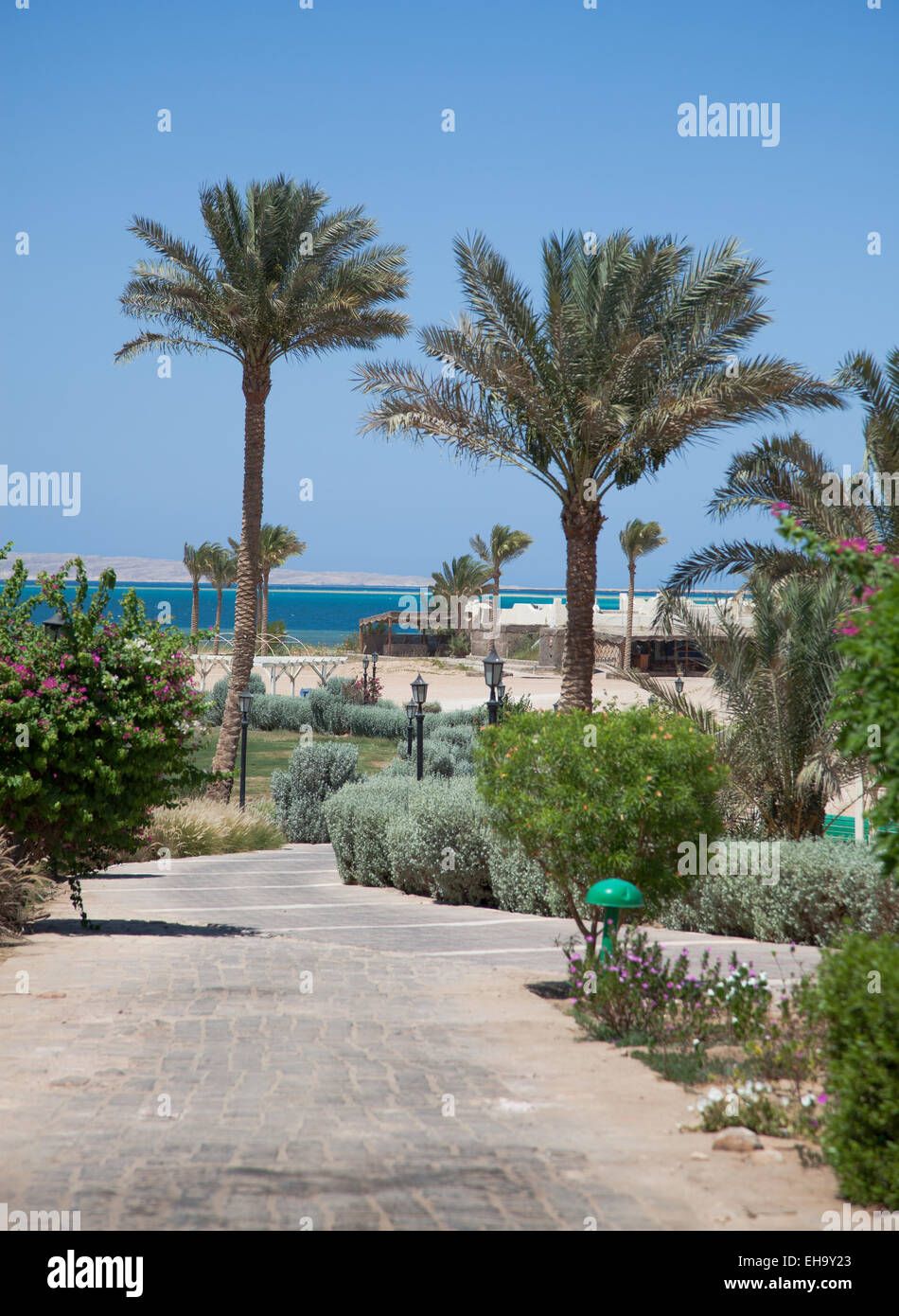 Playa en día soleado en Hurghada, Egipto Foto de stock