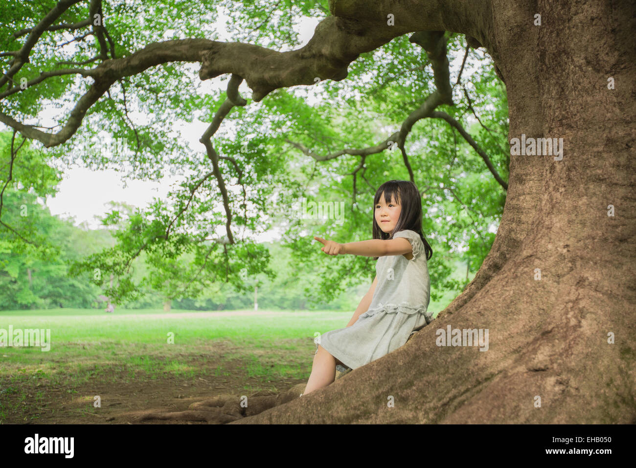 Japonés chico sentado en el árbol grande en un parque Foto de stock