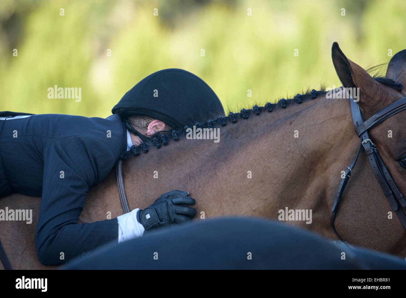 Momento intimo con caballo y pre-teen girl en Hunter jumper mostrar competencia Foto de stock