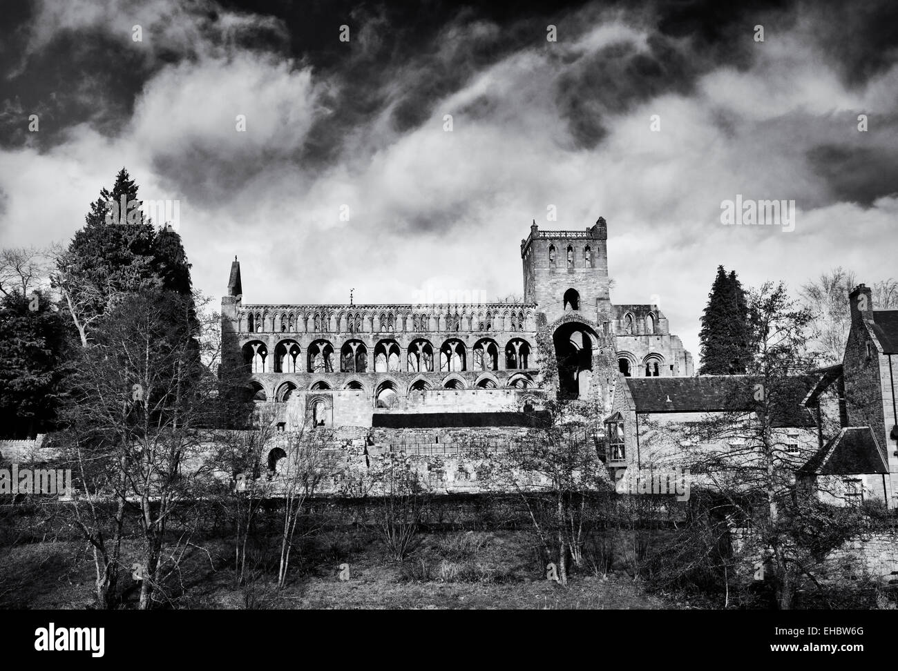 Jedburgh Abbey. En Jedburgh. Scottish Borders, Escocia. Blanco y negro Foto de stock