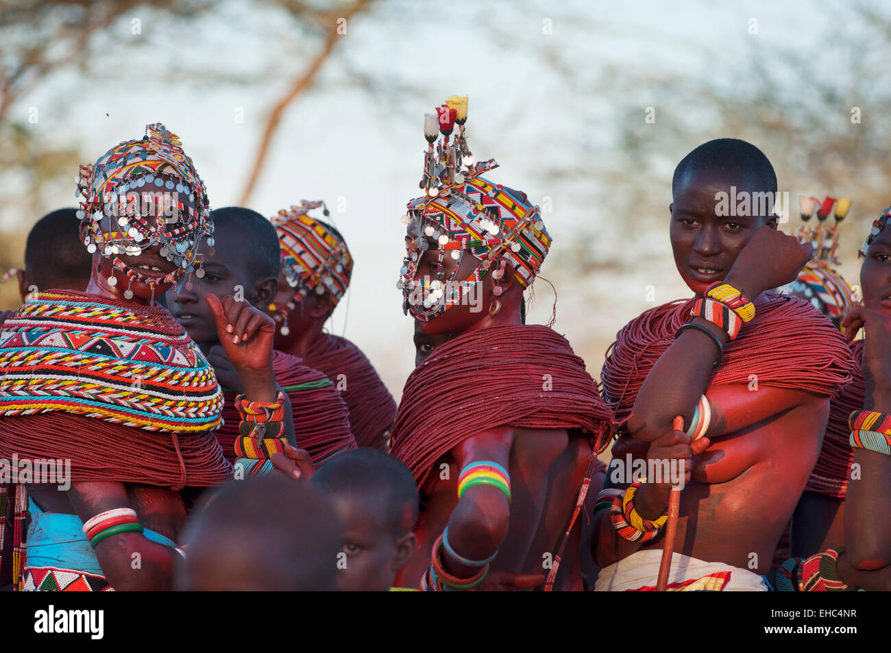 Un grupo de niñas y mujeres Samburu con enormes collares y tocados en una ceremonia de boda, Archer's post, área, Kenya Foto de stock