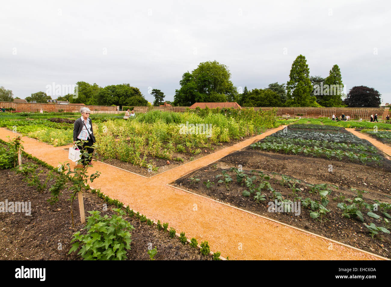 RHS Hampton Court Flower Show Julio 2014 Foto de stock