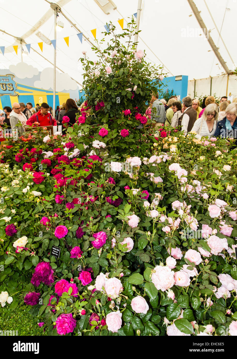 RHS Hampton Court Flower Show Julio 2014 Foto de stock