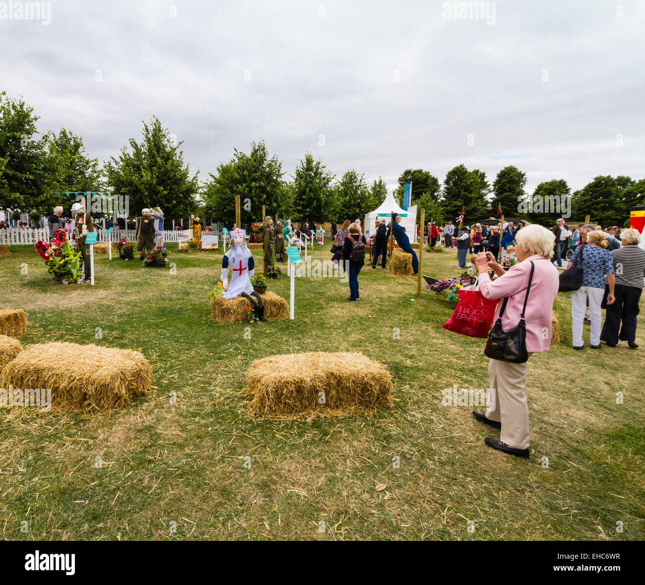 RHS Hampton Court Flower Show Julio 2014 Foto de stock